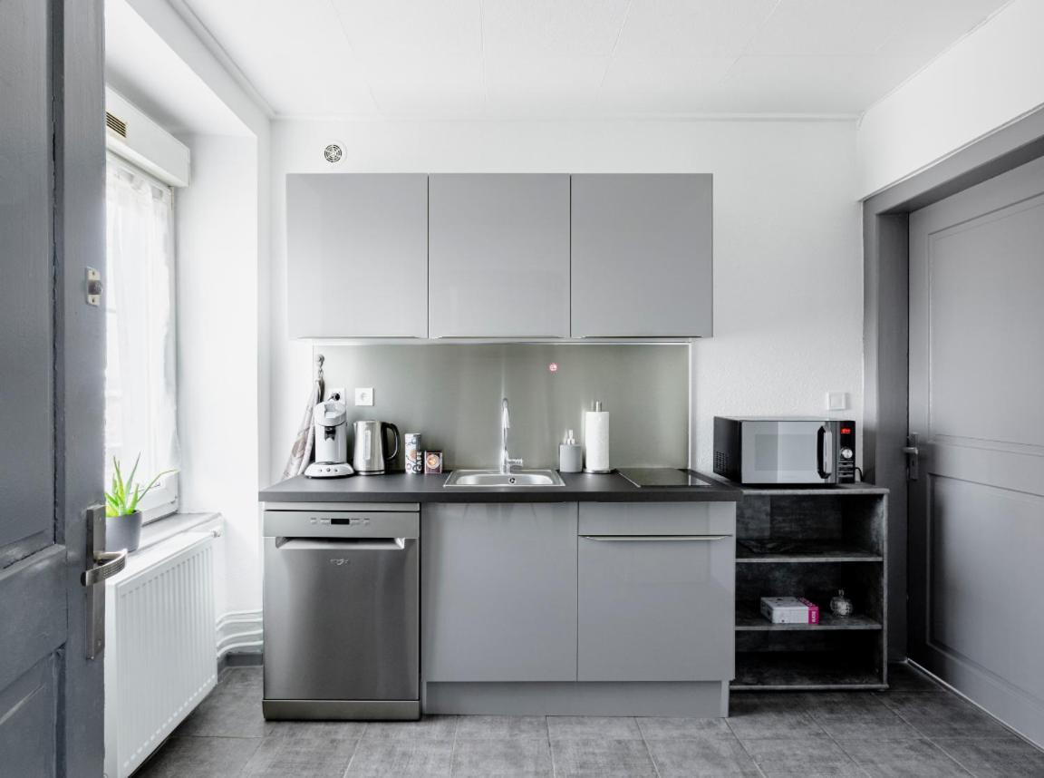 Myhome Basel Rc44B Saint-Louis  Exterior photo